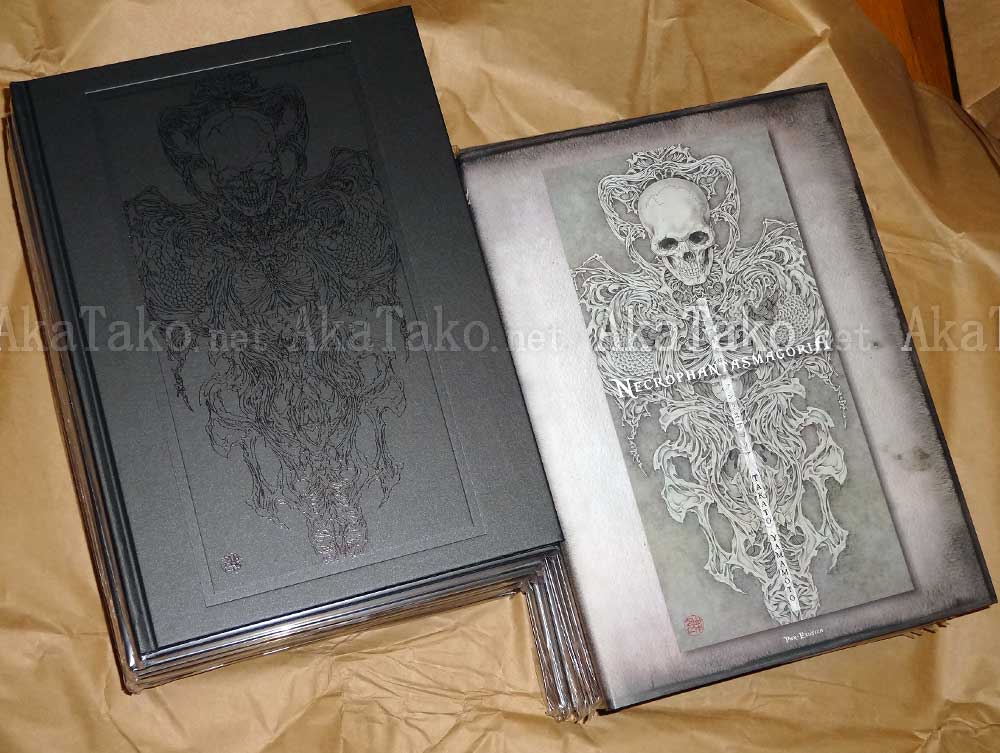 Takato Yamamoto Necrophantasmagoria books