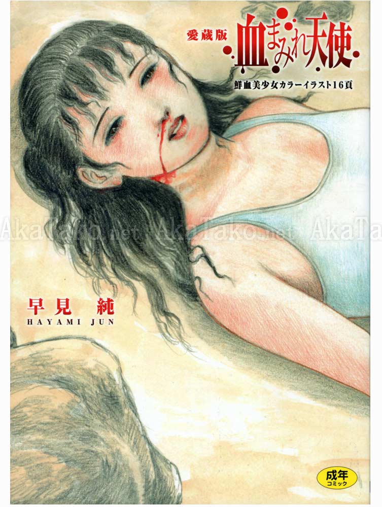 Jun Hayami Bloodstained Angel SIGNED