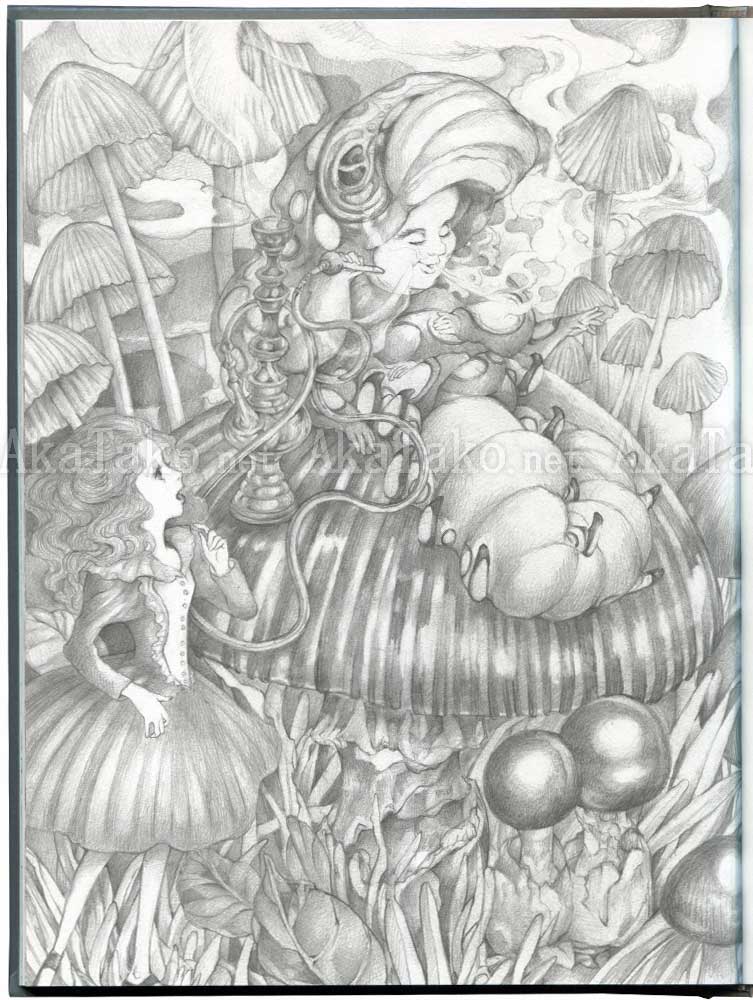 Kyotaro Kinoko Alice in Mushroom Land SIGNED
