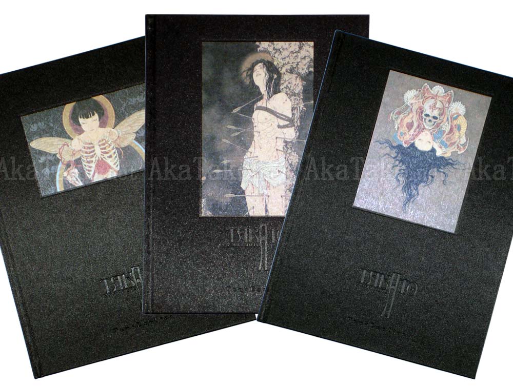 Takato Yamamoto silver book set