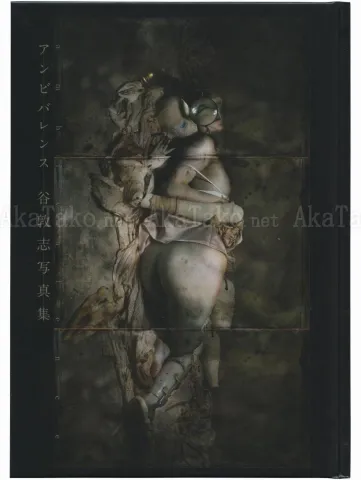 Atsushi Tani Ambivalence - front cover