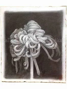 Fuco Ueda Original Drawing 1