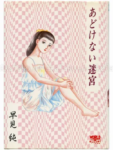 Jun Hayami Adokenai Meikyuu - front cover