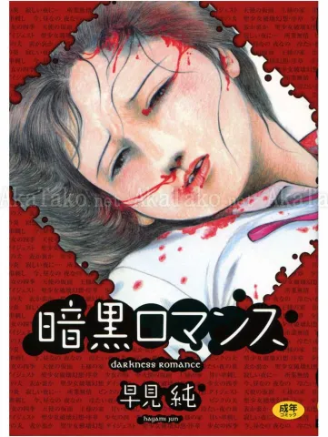 Jun Hayami Darkness Romance - front cover
