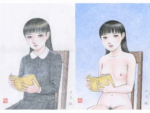 Jun Hayami Original Drawing Diptych