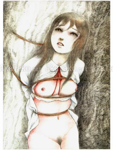 Jun Hayami Love? Punishment? Original Artwork