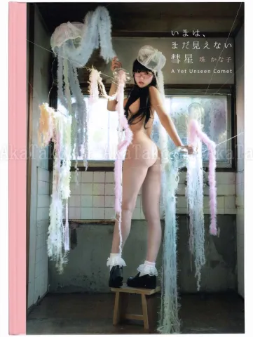 Kanako Tama A Yet Unseen Comet SIGNED - front cover