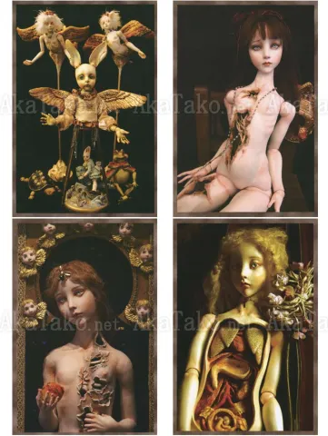 Mari Shimizu Postcard Set 11