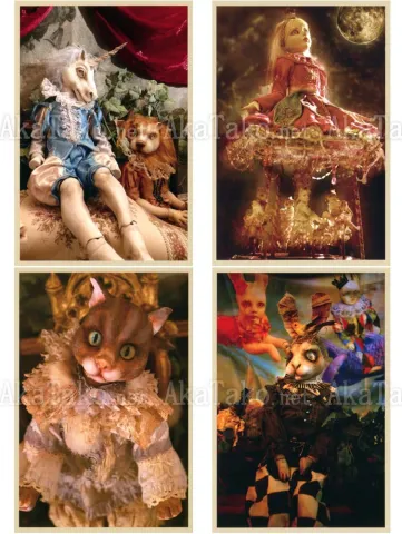 Mari Shimizu Postcard Set 12