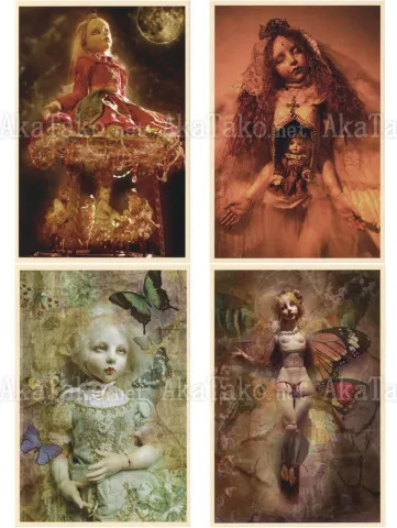 Mari Shimizu Postcard Set 4