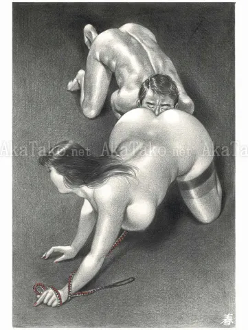 Namio Harukawa Original Drawing 103