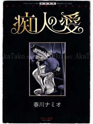 Namio Harukawa Maddening Love - front cover