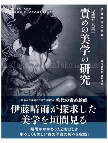 Seiu Ito Kinbaku Photos - front cover