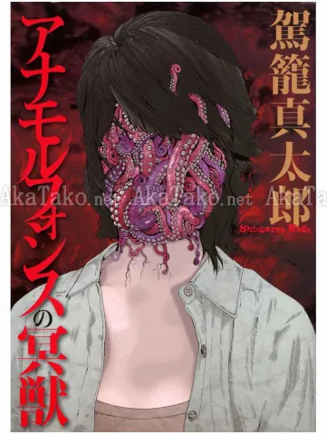 Shintaro Kago Anamorphosis no Meiju - front cover