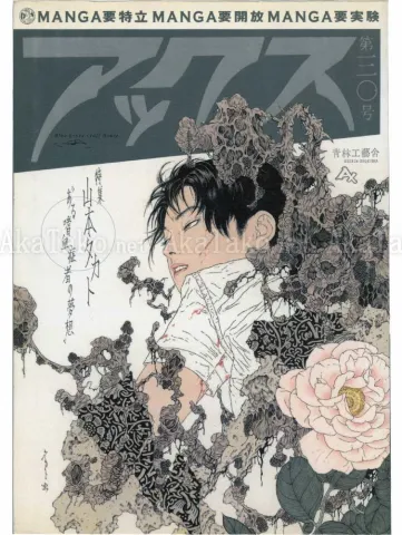 Takato Yamamoto Axe no. 30 manga front cover