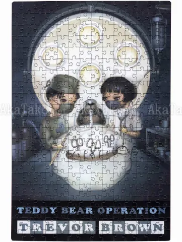 Trevor Brown Teddy Bear Operation puzzle SIGNED