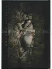 Atsushi Tani Ambivalence - front cover