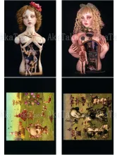 Mari Shimizu Postcard Set 14