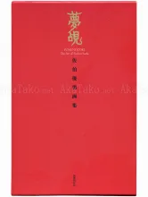 Toshio Saeki Yumenozoki front cover