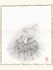 Fuco Ueda Chrysanthemum and Double Headed Snake Original Drawing