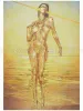 Hajime Sorayama The Gynoids Sublime - inside page