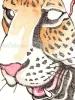 Shintaro Kago Jaguar Octopus Original Artwork (detail)