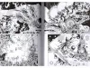 Suehiro Maruo Lunatic Lovers English - inside pages