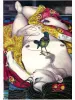Suehiro Maruo New Century SM Pictorial artwork