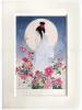 Takato Yamamoto Postcard Medicinal Herbs - natural frame